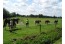 Bungalowpark de Bronzen Emmer Drenthe met paardenstalling en manege VMP019